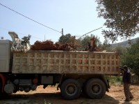 /album/%cf%86%cf%89%cf%84%ce%bf%ce%b3%cf%81%ce%b1%cf%86%ce%b9%ce%b5%cf%82-%ce%b1%cf%80%ce%bf-%cf%84%ce%b1-%ce%b5%cf%81%ce%b3%ce%b1-%ce%bc%ce%b1%cf%82/img-0047-jpg/