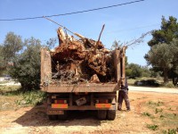 /album/%cf%86%cf%89%cf%84%ce%bf%ce%b3%cf%81%ce%b1%cf%86%ce%b9%ce%b5%cf%82-%ce%b1%cf%80%ce%bf-%cf%84%ce%b1-%ce%b5%cf%81%ce%b3%ce%b1-%ce%bc%ce%b1%cf%82/img-0050-jpg/